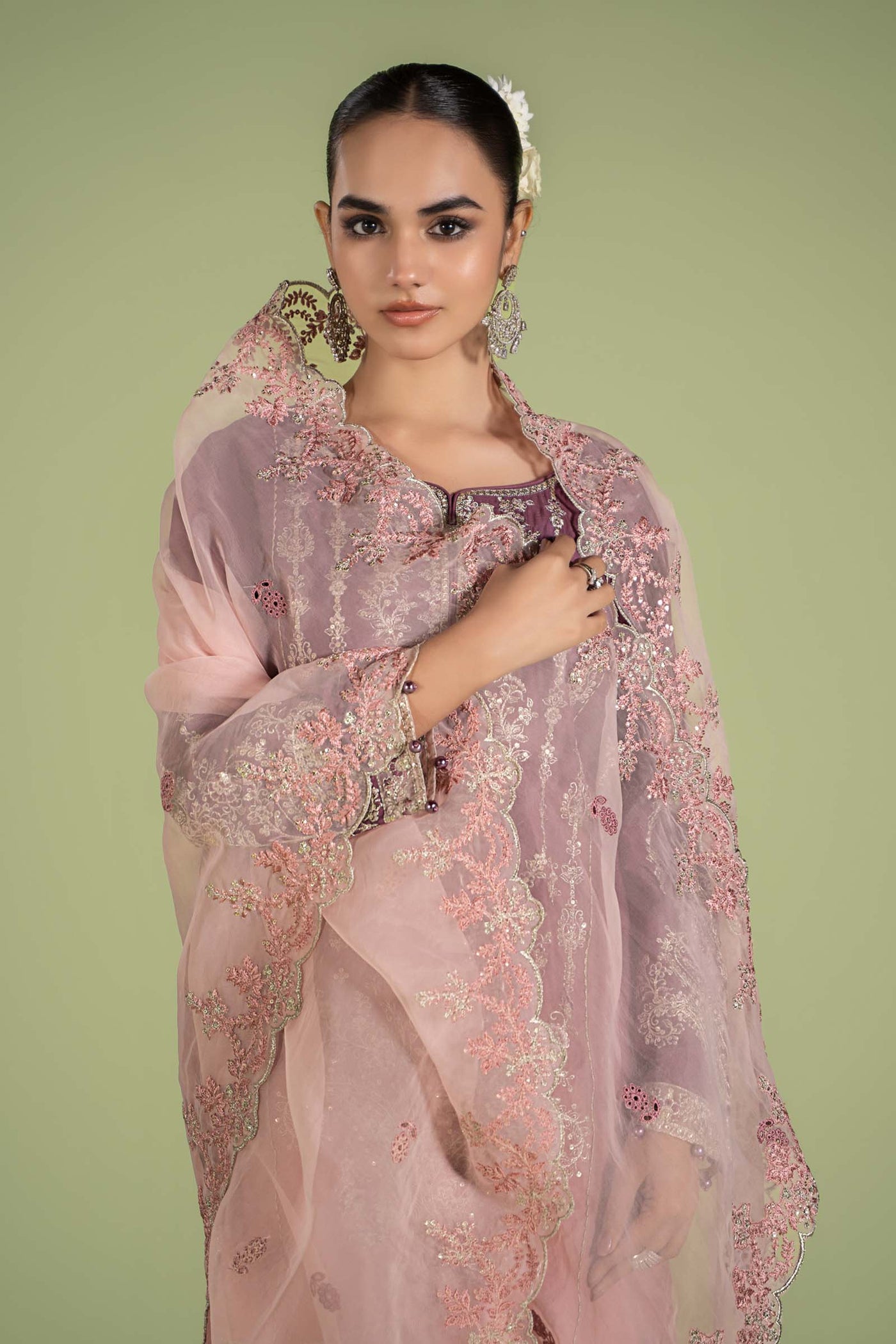 3 Piece Embroidered Lawn Suit | DW-EF24-46