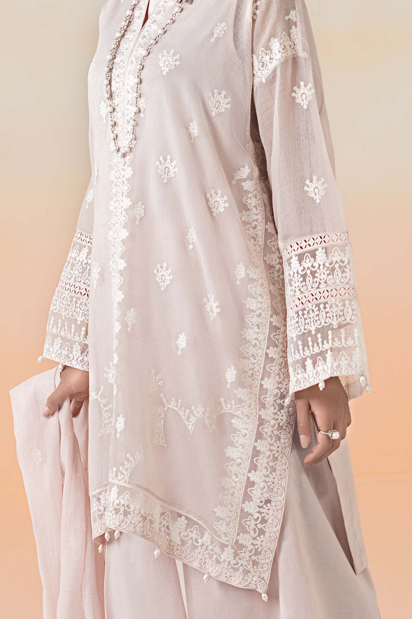 3 Piece Embroidered Cotton Net Suit | DW-EF25-92