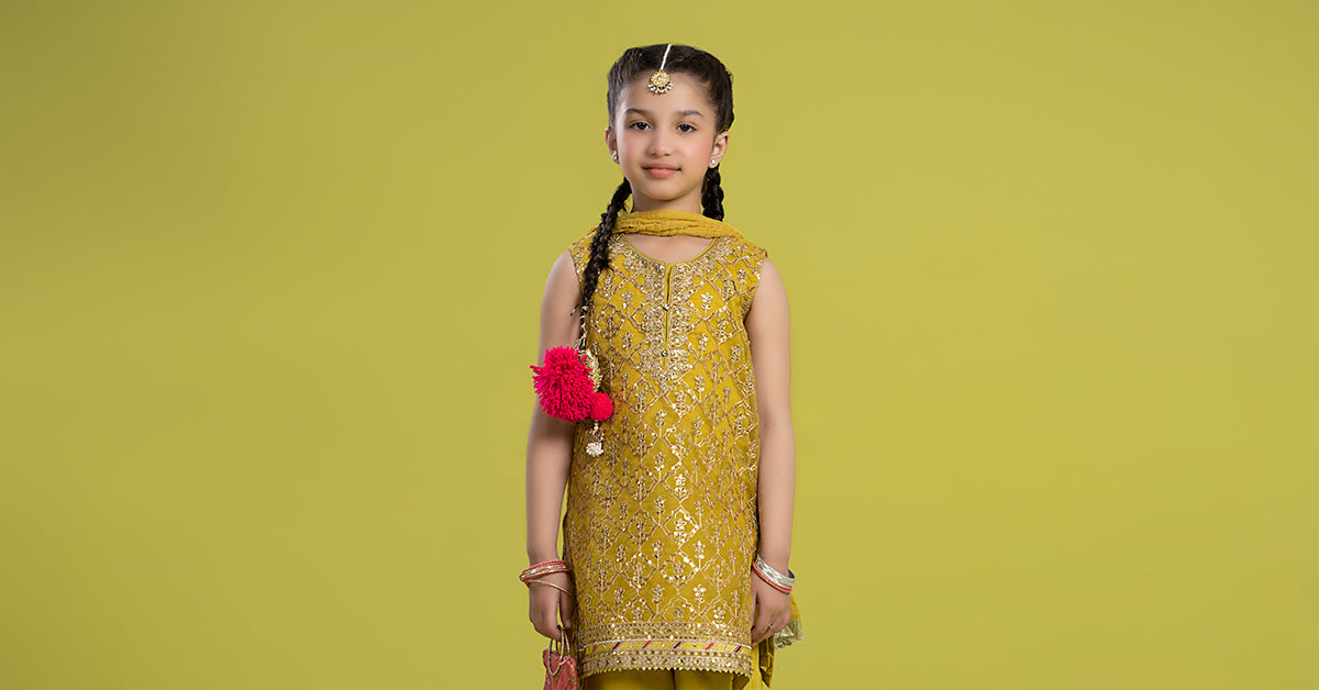 3 Piece Embroidered Organza Suit | MKS-EF24-14