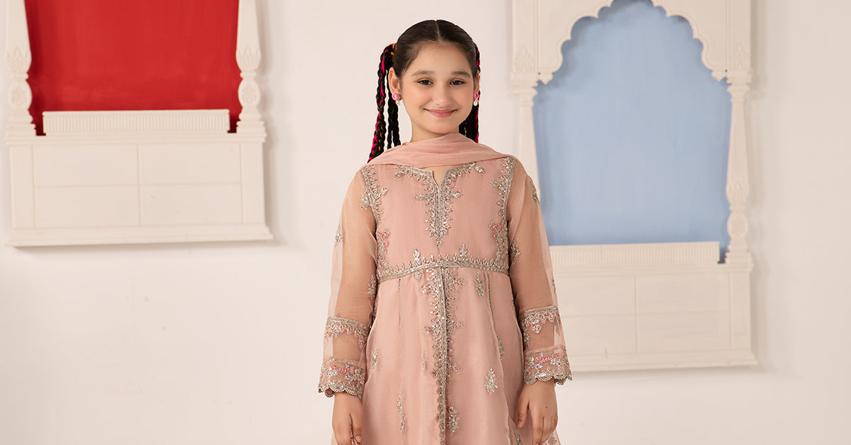 3 Piece Embroidered Organza Suit | MKS-EA24-01