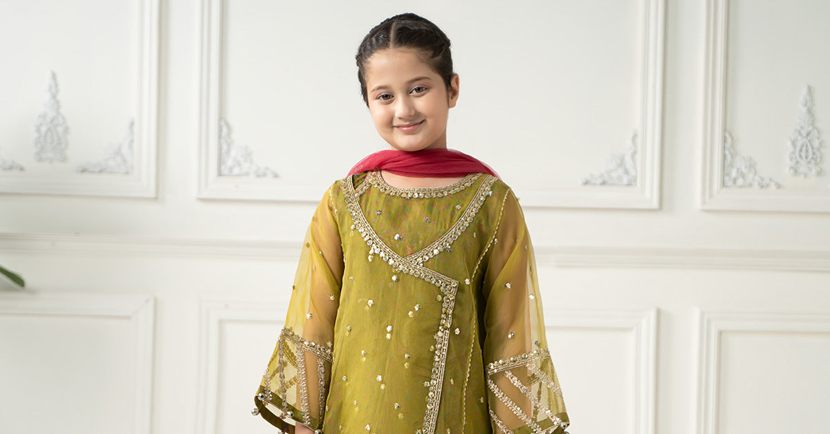 3 Piece Embroidered Poly Organza Suit | MKS-EF25-11