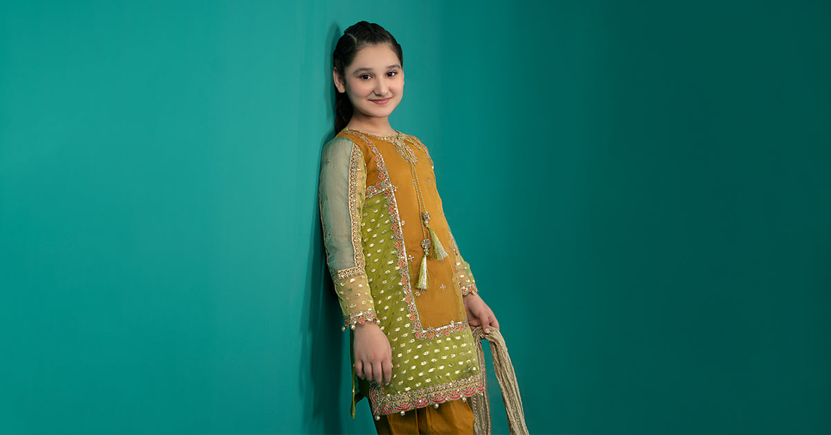 3 Piece Embroidered Organza Suit | MKS-EF25-34