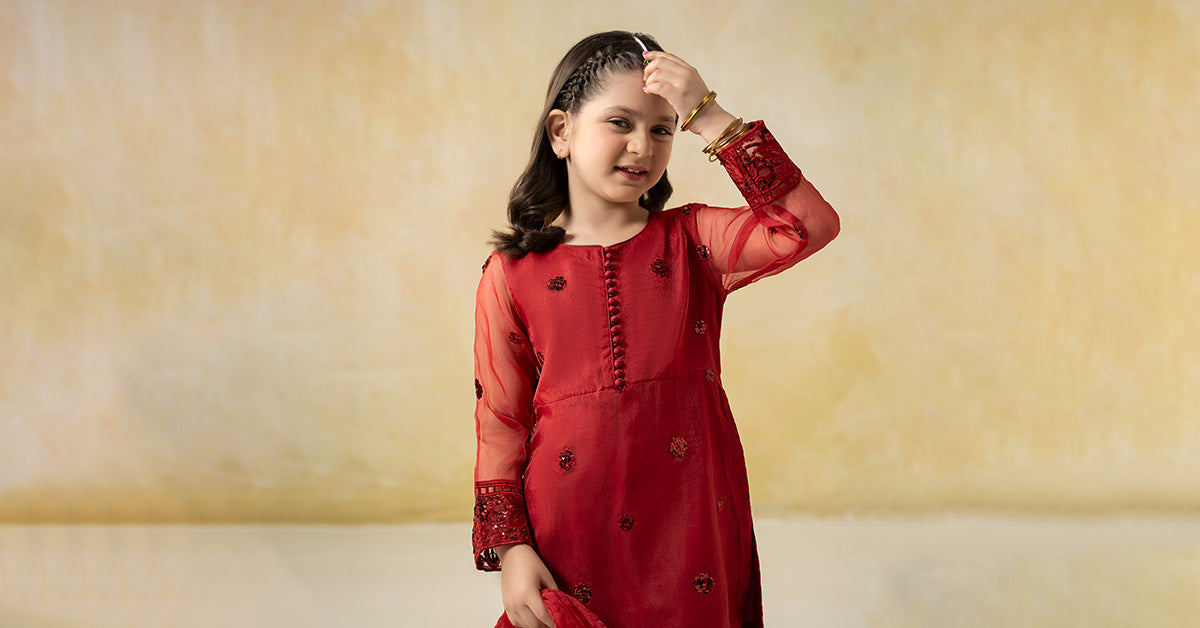 3 Piece Embroidered Organza Suit | MKS-EF25-44